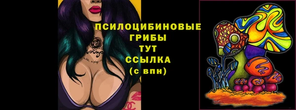 spice Магас