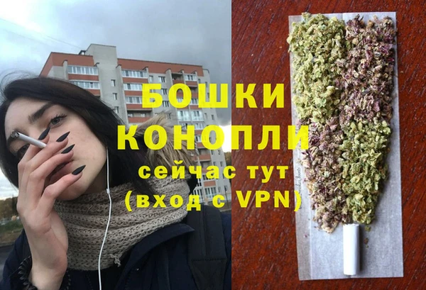 spice Магас