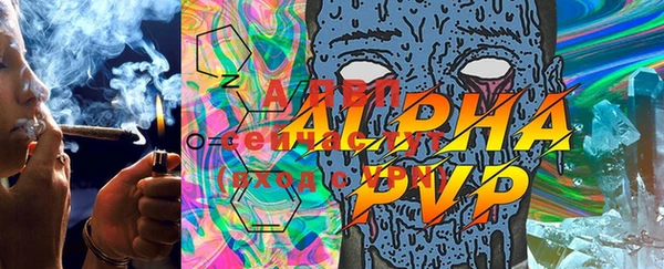 эйфоретик Магадан