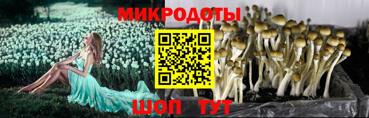 Галлюциногенные грибы ЛСД Учалы