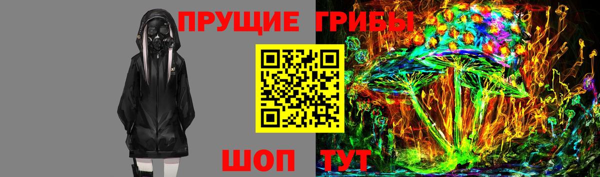 Псилоцибиновые грибы Cubensis Учалы